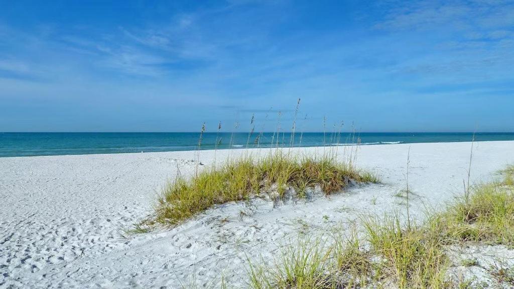 Beach Palms- Unit 102 Clearwater Beach Εξωτερικό φωτογραφία